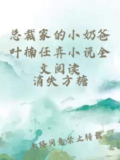 总裁家的小奶爸叶楠任弈小说全文阅读