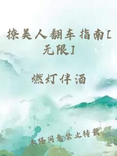 撩美人翻车指南[无限]