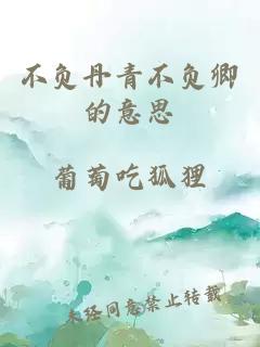 不负丹青不负卿的意思