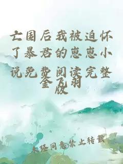 亡国后我被迫怀了暴君的崽崽小说免费阅读完整版