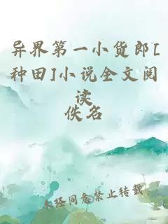 异界第一小货郎[种田]小说全文阅读