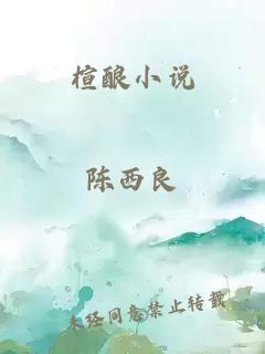楦酿小说