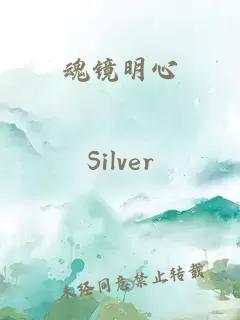 魂镜明心