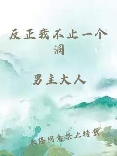 反正我不止一个洞