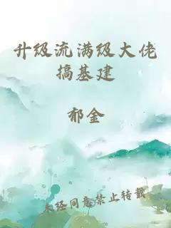升级流满级大佬搞基建