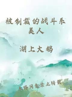 被制裁的战斗系美人