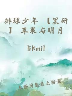 排球少年 【黑研】 苹果与明月