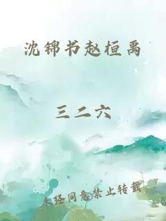 沈锦书赵桓禹