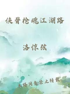 侠骨枪魂江湖路