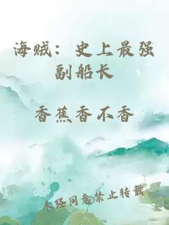 海贼：史上最强副船长