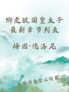 绑走敌国皇太子最新章节列表