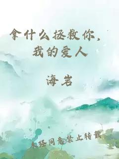 拿什么拯救你,我的爱人