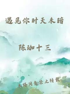 遇见你时天未暗