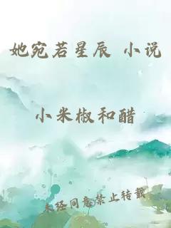 她宛若星辰 小说