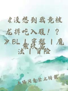 《没想到我竟被龙拆吃入腹！？》BL | 穿越 | 魔法 | 冒险