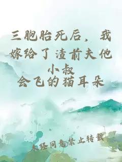 三胞胎死后，我嫁给了渣前夫他小叔