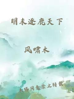 明末逐鹿天下