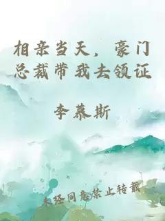 相亲当天，豪门总裁带我去领证
