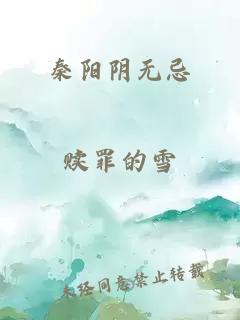 秦阳阴无忌