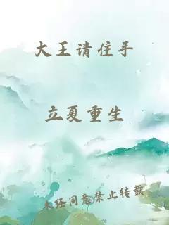 大王请住手