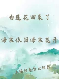 白莲花回来了