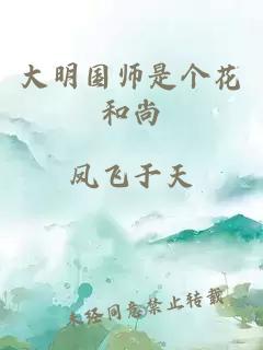 大明国师是个花和尚
