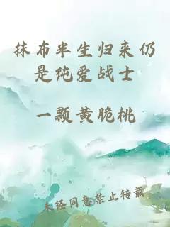 抹布半生归来仍是纯爱战士