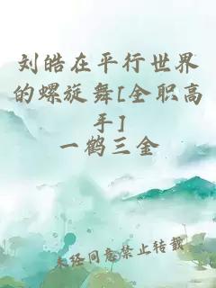 刘皓在平行世界的螺旋舞[全职高手]