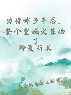 为侍婢多年后，整个皇城火葬场了