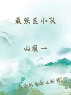 最强区小队