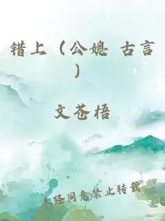 错上（公媳 古言）