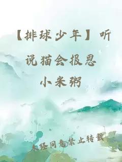 【排球少年】听说猫会报恩