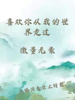 喜欢你从我的世界走过