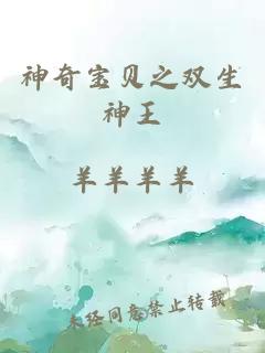 神奇宝贝之双生神王
