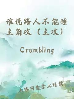 谁说路人不能睡主角攻（主攻）