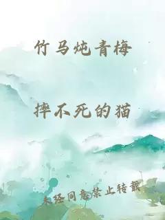 竹马炖青梅