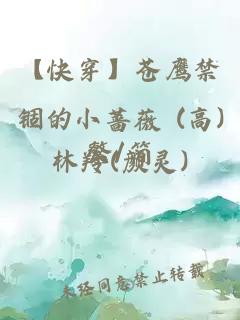 【快穿】苍鹰禁锢的小蔷薇 (高H.NP)繁/简