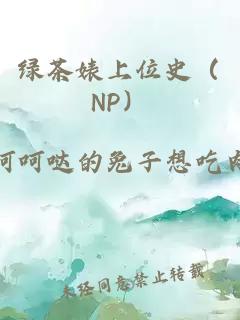 绿茶婊上位史（NP）