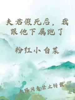 夫君假死后，我跟他下属跑了