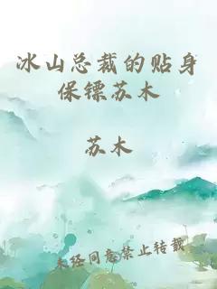 冰山总裁的贴身保镖苏木