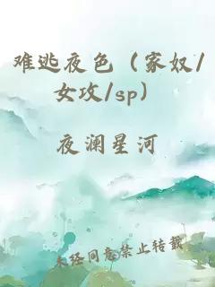 难逃夜色（家奴/女攻/sp）