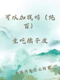 可以加钱吗(纯百)