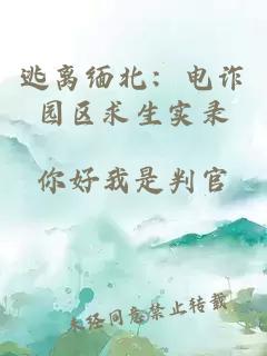 逃离缅北：电诈园区求生实录