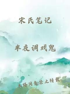 宋氏笔记