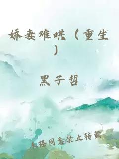 娇妻难哄（重生）