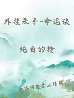 外挂杀手-命运诀
