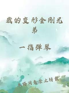 我的变形金刚兄弟