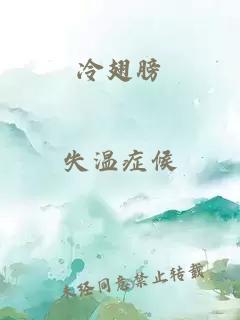 冷翅膀