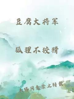 豆腐大将军