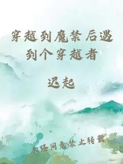 穿越到魔禁后遇到个穿越者